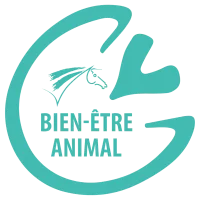 Logo_BEA-RVB-1024x1024